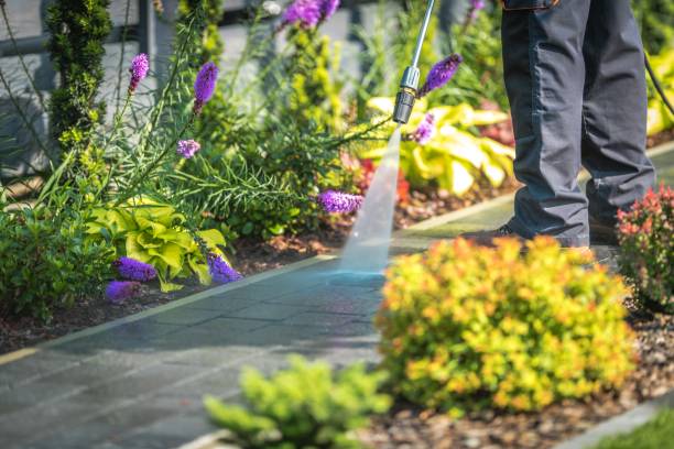 Best Dumpster Area Cleaning  in Pine Prairie, LA