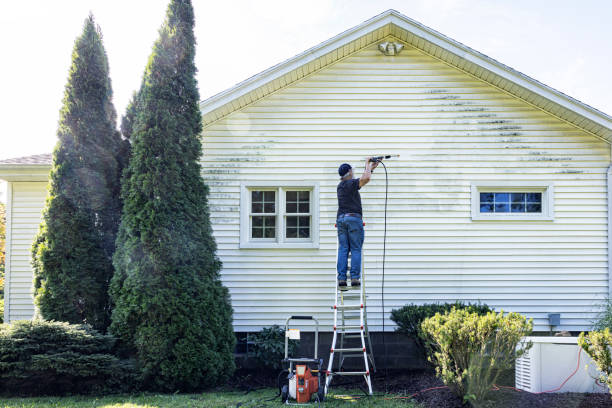 Reliable Pine Prairie, LA  Pressure Washing Services Solutions